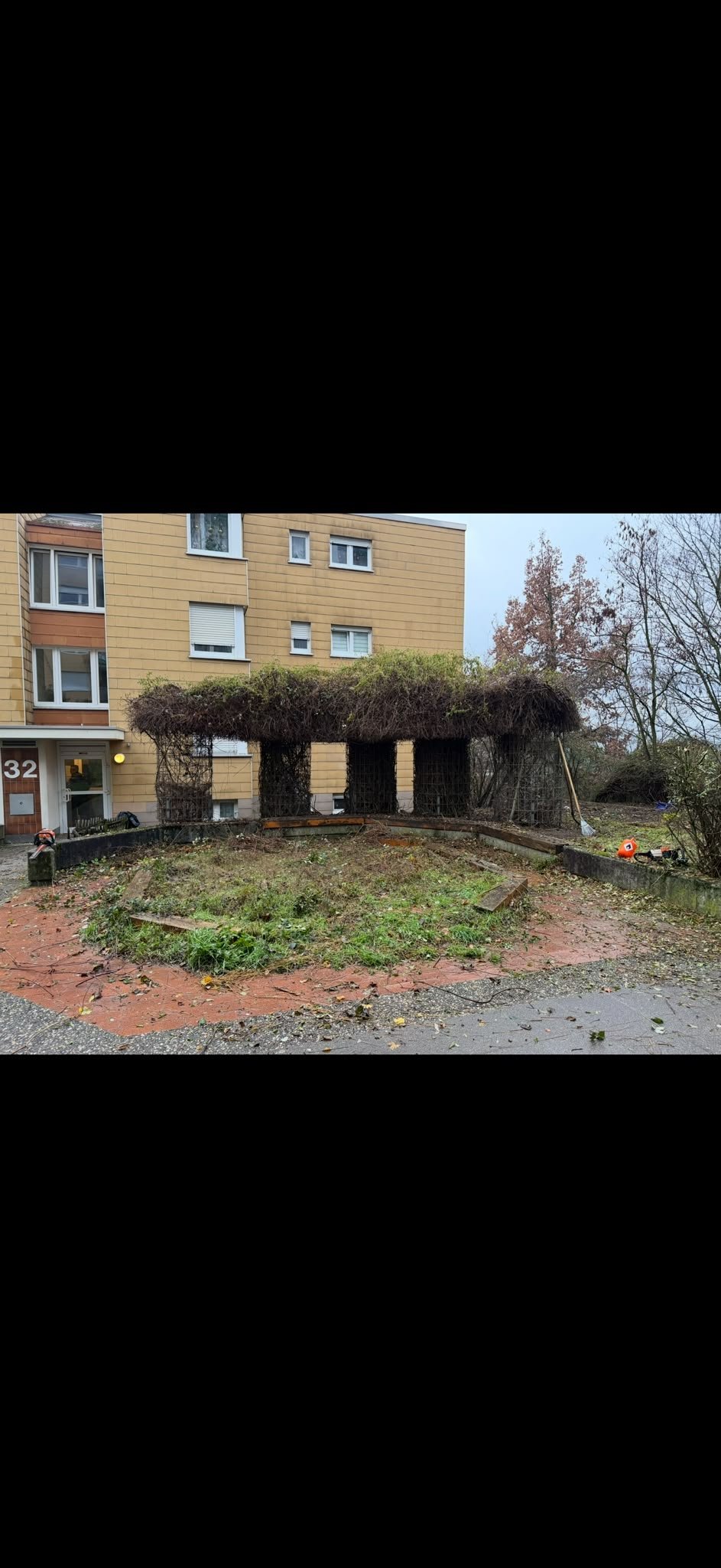 Wohngebäude mit überwucherter Efeu-Pergola und verwildertem Innenhof im Herbst vor der Pflege